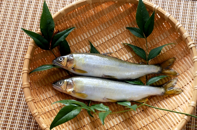 2匹の鮎